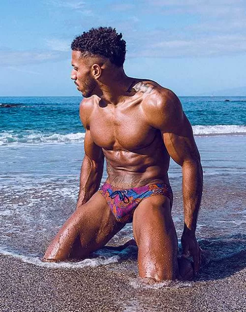 V10 Print Swim Brief-Stallion Navy^2EROS Discount