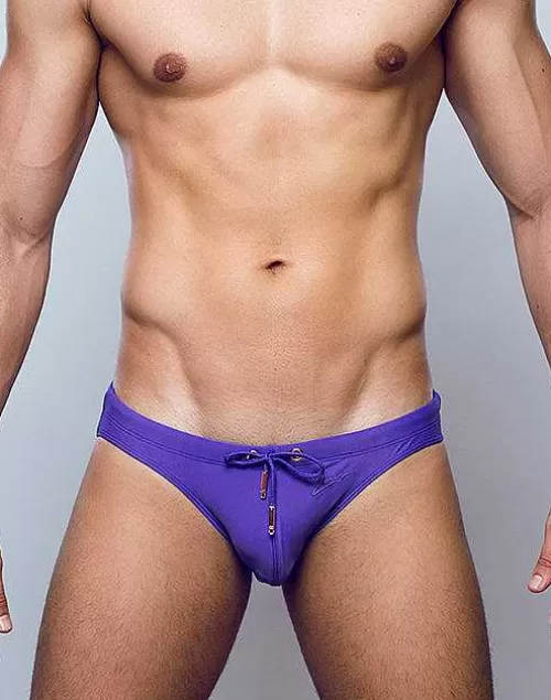 V20 Core Swimwear-Dusted Purple^2EROS Shop